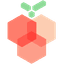 数码荔枝 icon