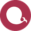 Apache ECharts icon